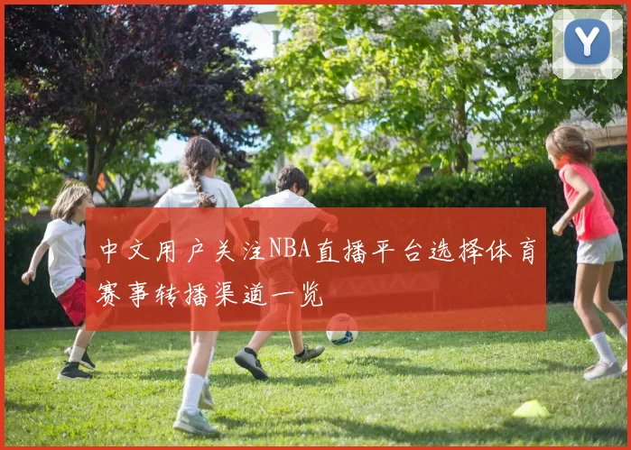 中文用户关注NBA直播平台选择体育赛事转播渠道一览